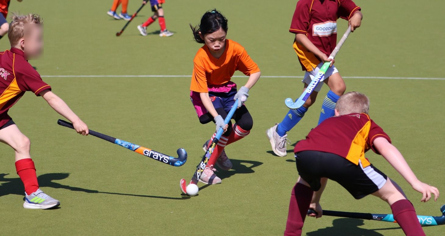 Barford Tigers Festival Photos