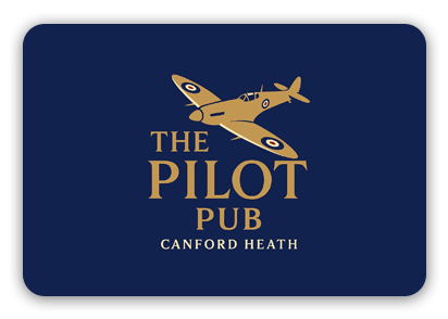 The Pilot